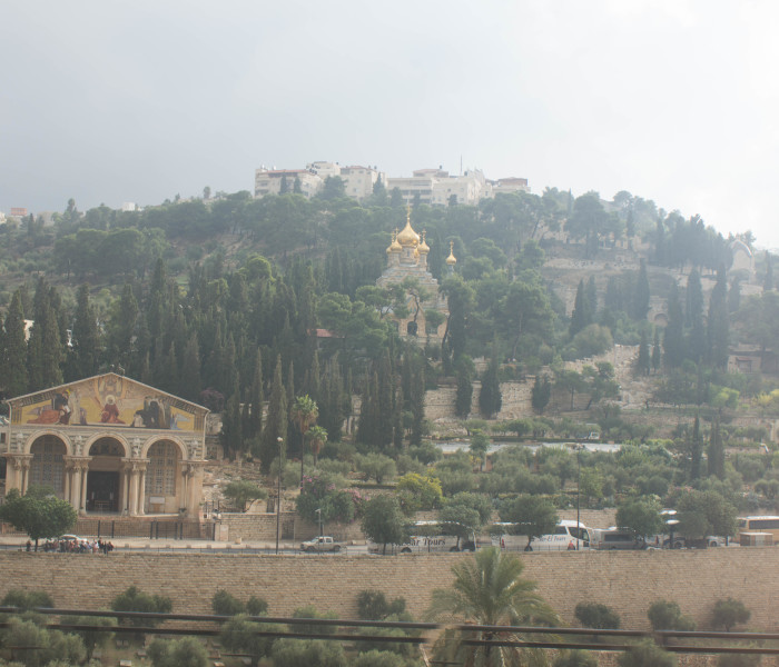 DSC00079Church of Nations, Mount of Olives