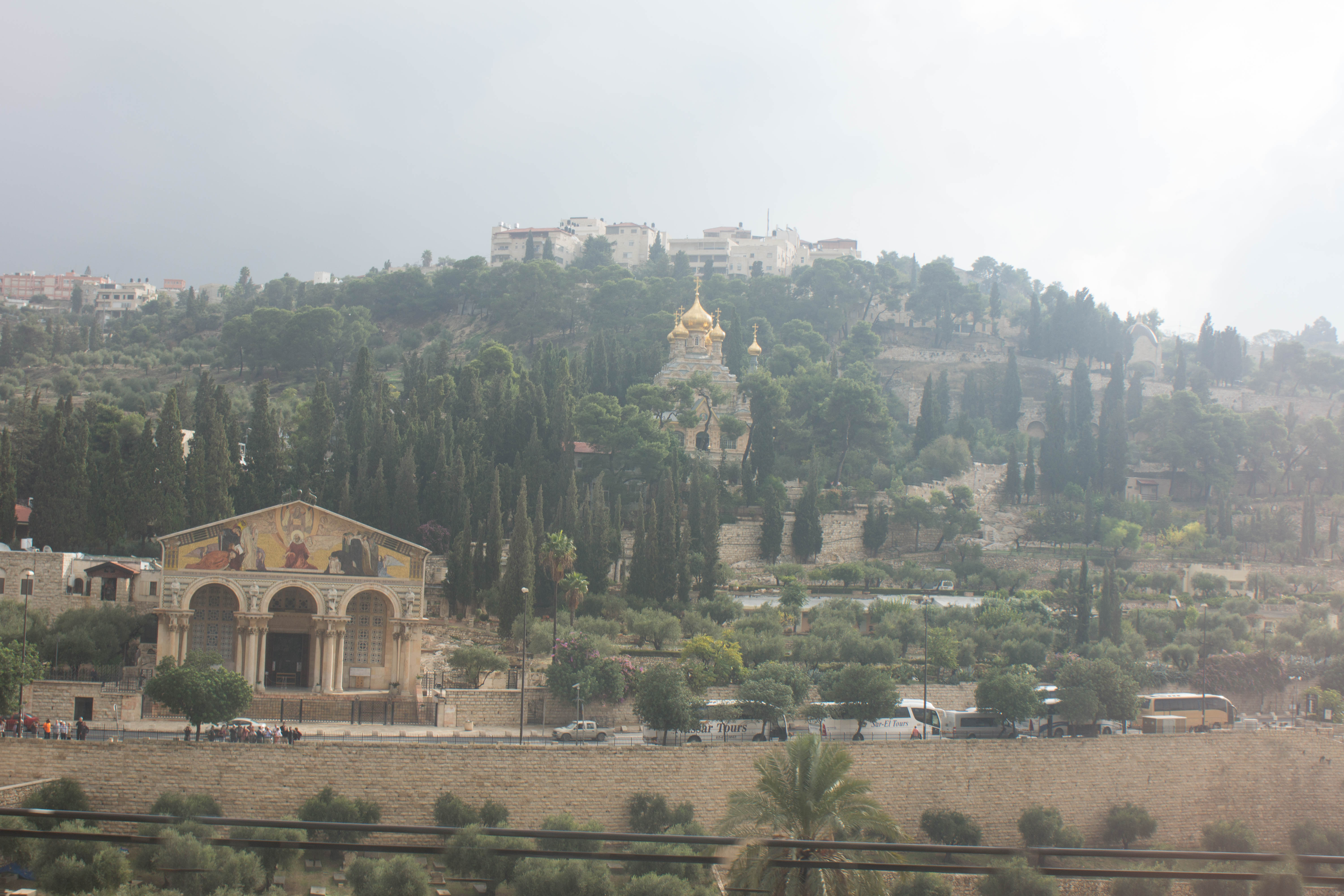 DSC00079Church of Nations, Mount of Olives