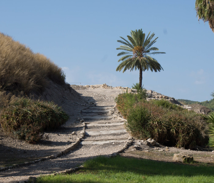 DSC07876Tel Megiddo