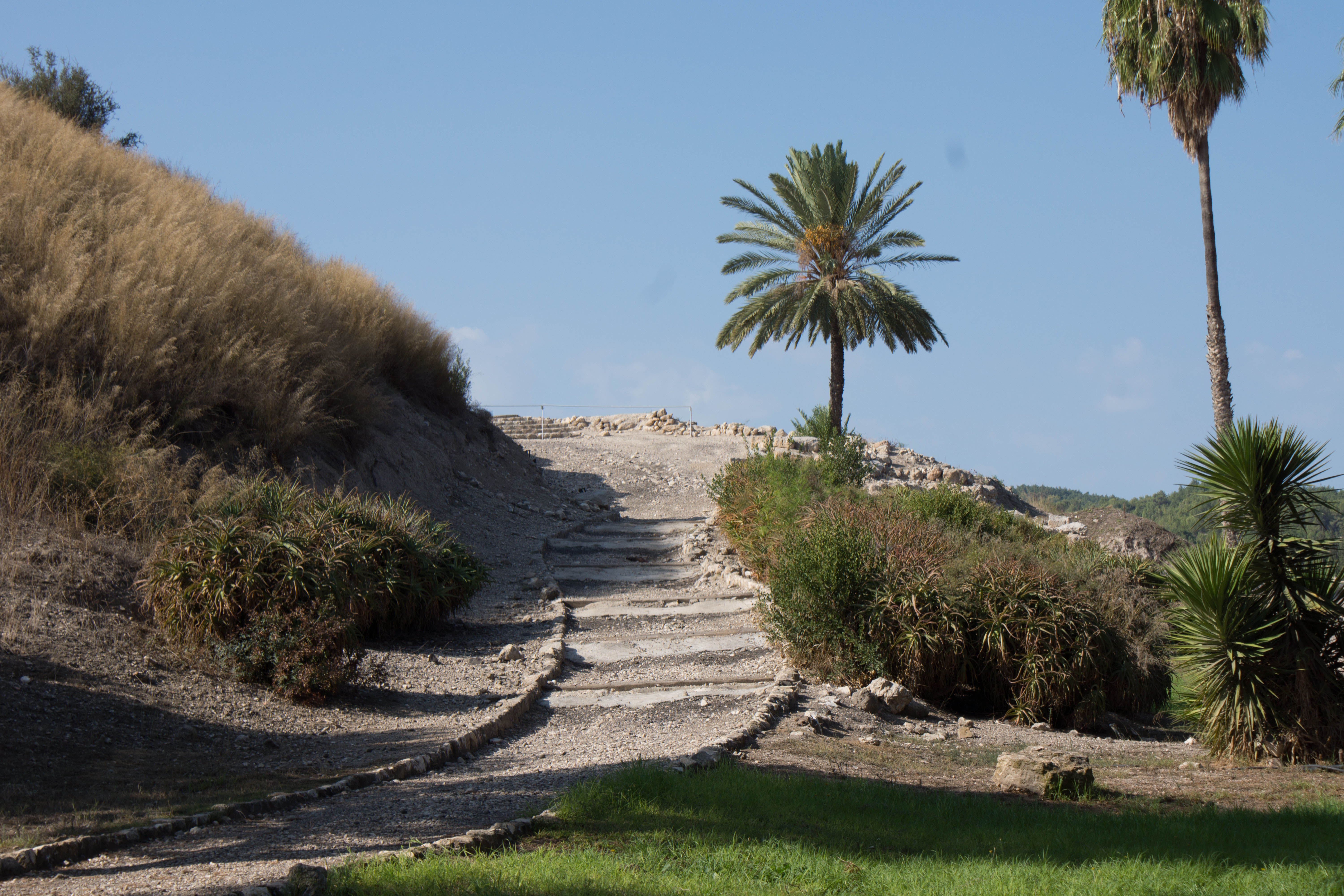 DSC07876Tel Megiddo